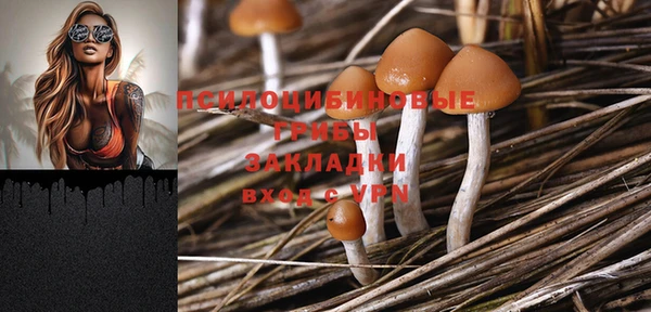 ешки Абаза