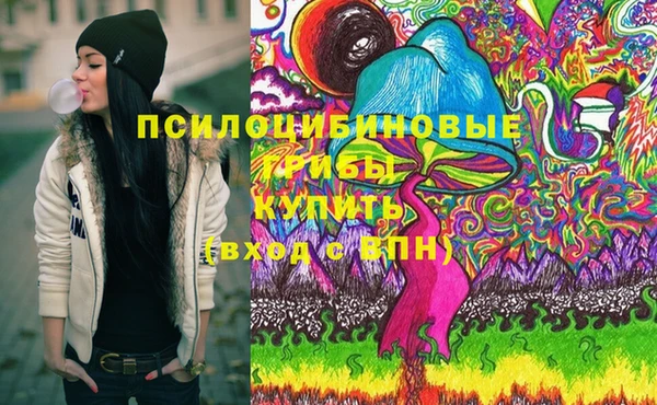 ешки Абаза