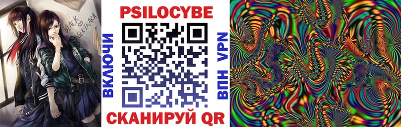 продажа наркотиков Нерчинск Галлюциногенные грибы Psilocybine cubensis
